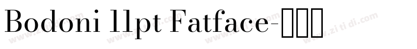 Bodoni 11pt Fatface字体转换